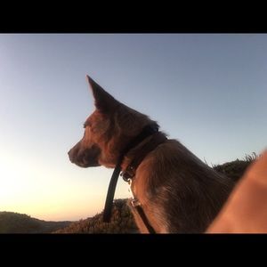 Meet your Posher, Robin